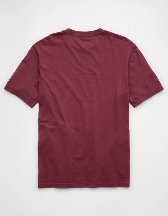 Aeo AE Logo Lived-In T-Shirt