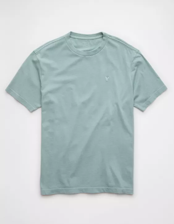 Aeo AE Logo Lived-In T-Shirt