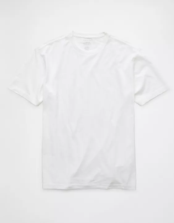 Aeo AE Logo Lived-In T-Shirt