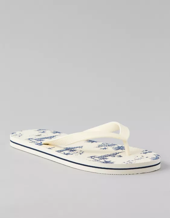 Aeo AE Men's First Wave Flip Flop