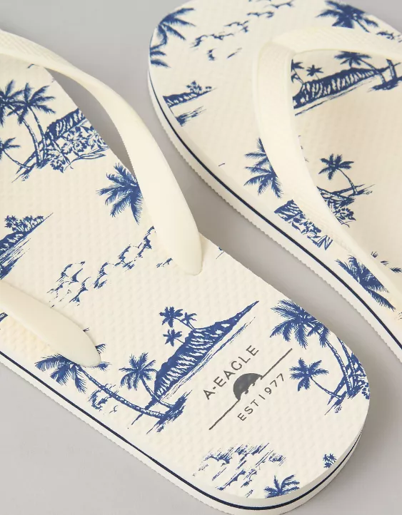 Aeo AE Men's First Wave Flip Flop