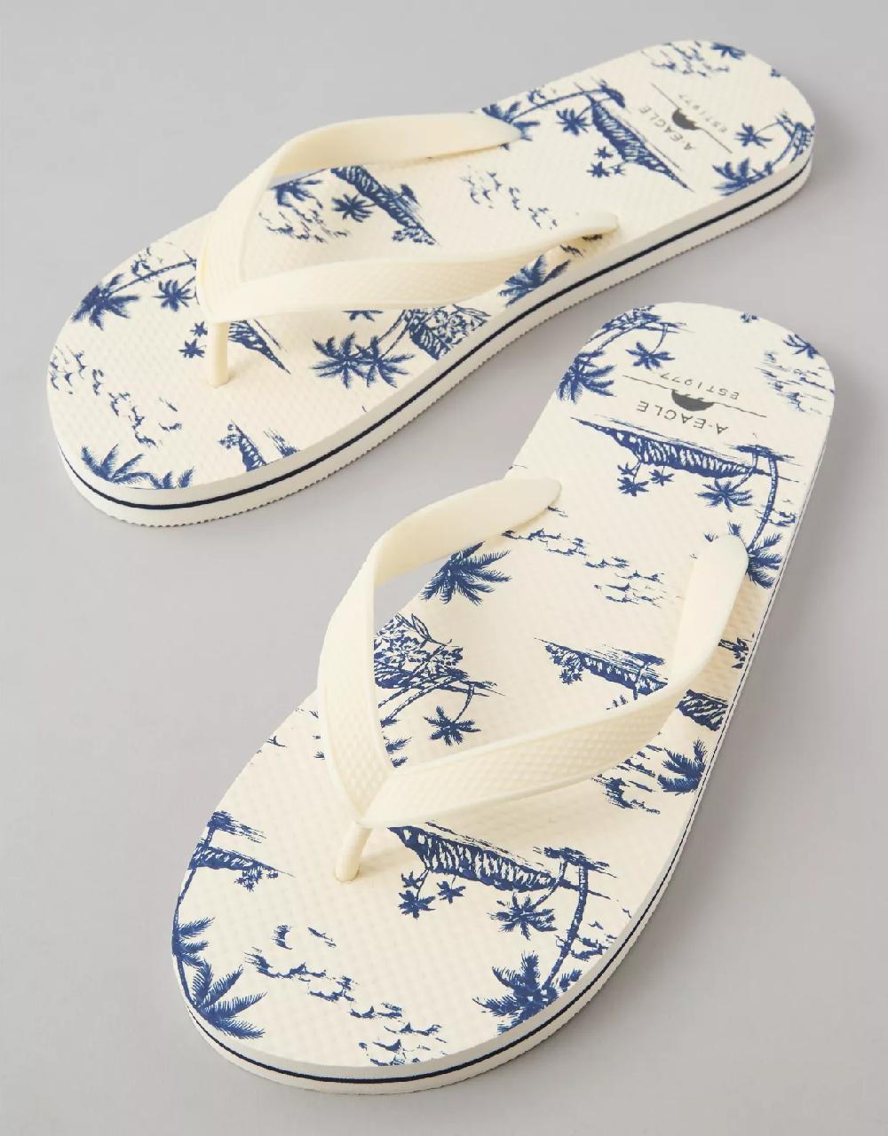 aeo AE Men's First Wave Flip Flop
