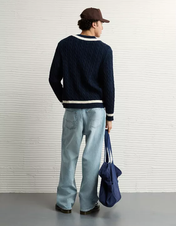 Aeo AE V-Neck Cricket Sweater