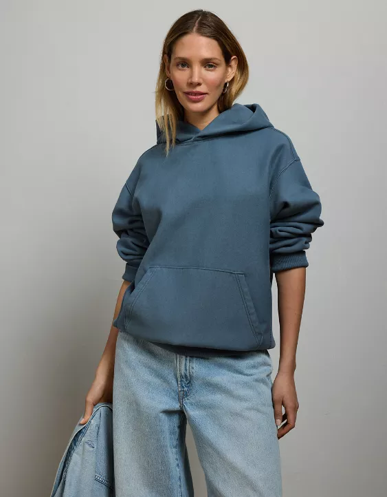 Aeo AE77 Premium Fleece Hoodie