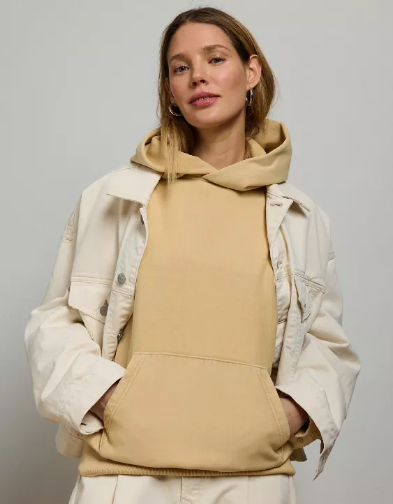 Aeo AE77 Premium Fleece Hoodie