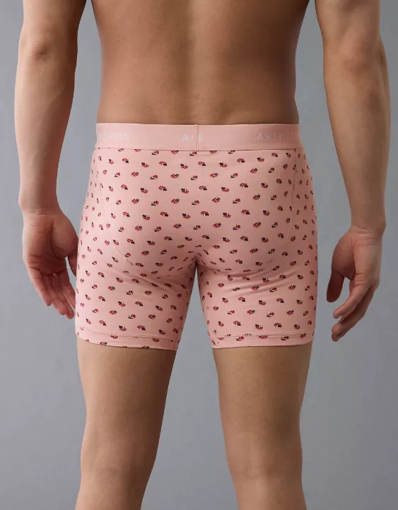 Aeo AEO Men's Ladybugs 6" Classic Boxer Brief