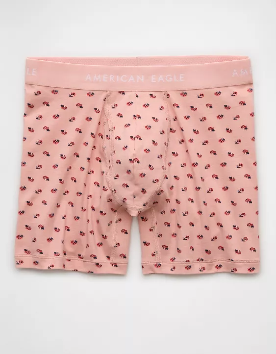 Aeo AEO Men's Ladybugs 6" Classic Boxer Brief