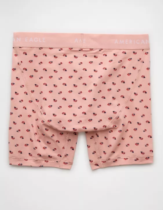 Aeo AEO Men's Ladybugs 6" Classic Boxer Brief