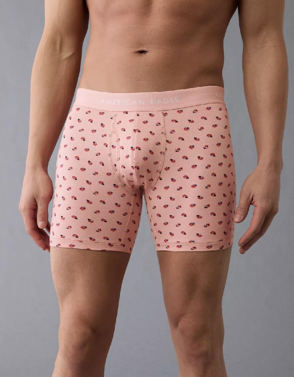 aeo AEO Men's Ladybugs 6" Classic Boxer Brief