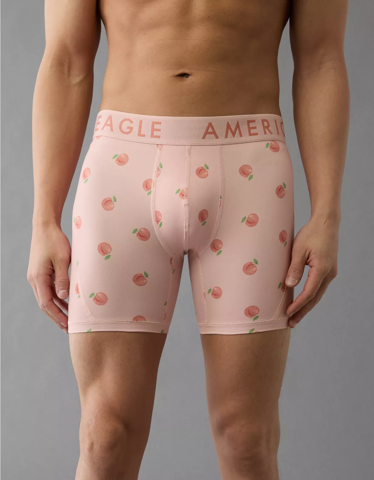 aeo AEO Men's Peaches 6" Flex Boxer Brief