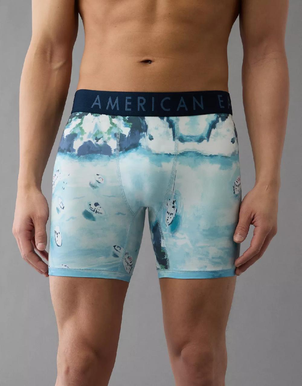 aeo AEO Men's Destination Graphic 6" Flex Boxer Brief