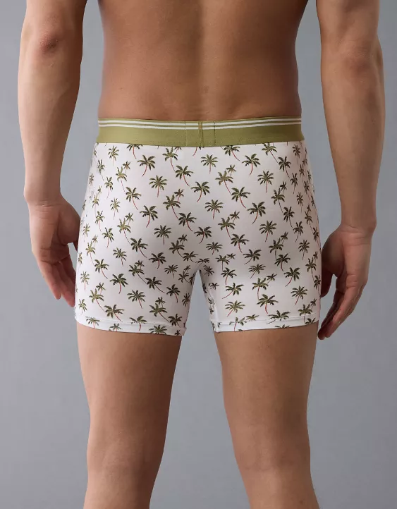 Aeo AEO Men's Palm Trees 4.5" Ultra Soft Boxer Brief