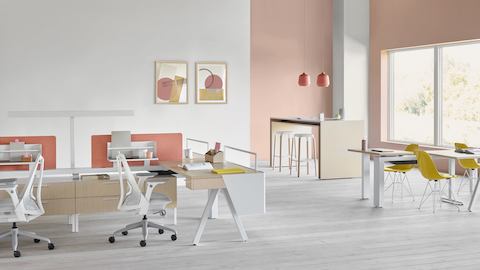 Aeron Canvas Vista
