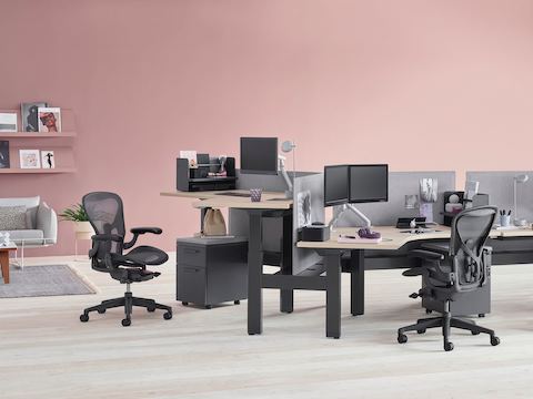 Aeron Renew Link