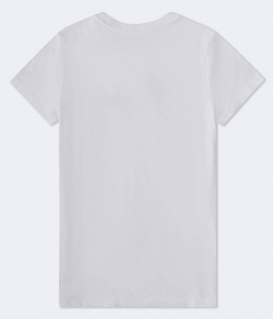 Aéropostale Aero 1987 Butterfly Flocked Graphic Tee Bleach