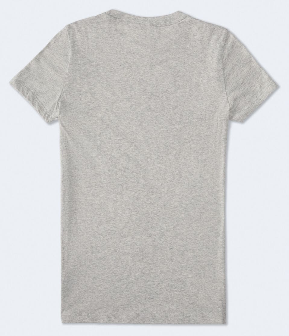 Aéropostale Aero 1987 Butterfly Flocked Graphic Tee Light Heather Grey