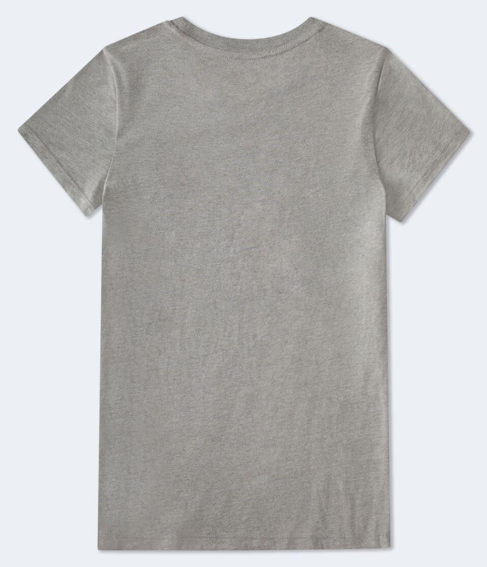 Aéropostale Aero 1987 Butterfly Flocked Graphic Tee Med Hthr Grey