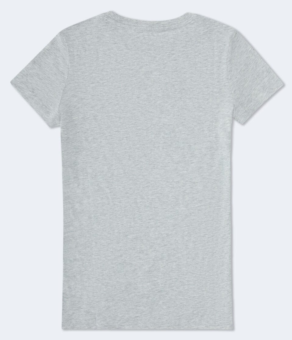 Aéropostale Aero 1987 Butterfly Graphic Tee Light Heather Grey