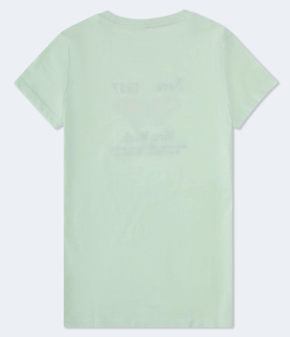 Aéropostale Aero 1987 Butterfly Graphic Tee Pale Vista