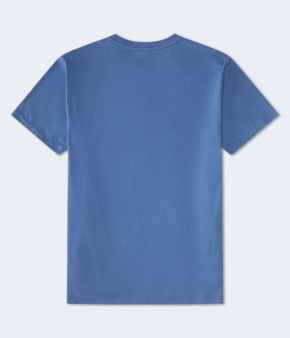 Aéropostale Aero 1987 Split Box Logo Appliqué Graphic Tee Indigo Ink