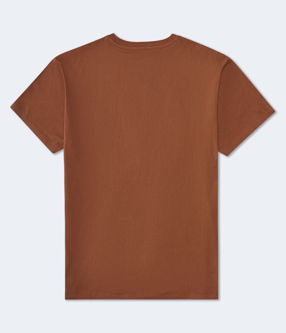 Aéropostale Aero 87 Original Appliqué Graphic Tee Medium Brown