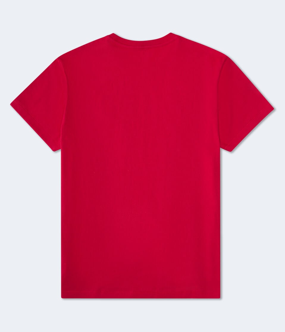 Aéropostale Aero 87 Original Appliqué Graphic Tee Red Cedar