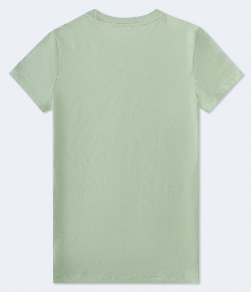 Aéropostale Aero 87 Palm Sunset Foil Graphic Tee Smoke Green