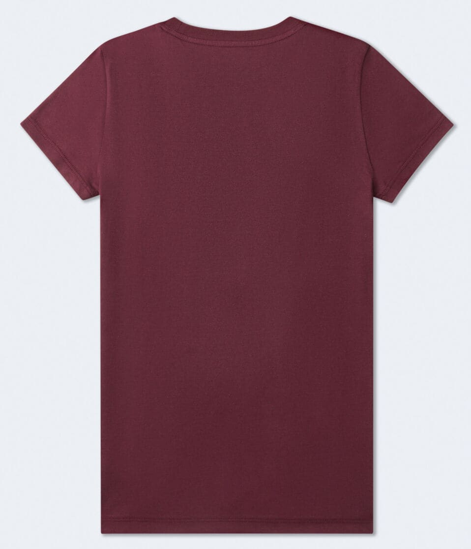 Aéropostale Aero Arch Butterfly Foil Graphic Tee Bloomsberry