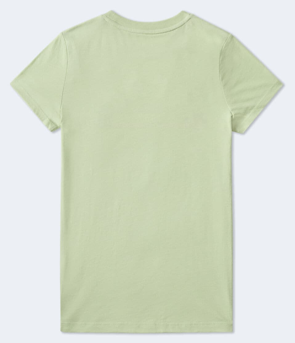Aéropostale Aero Arch Floral Appliqué Graphic Tee Smoke Green