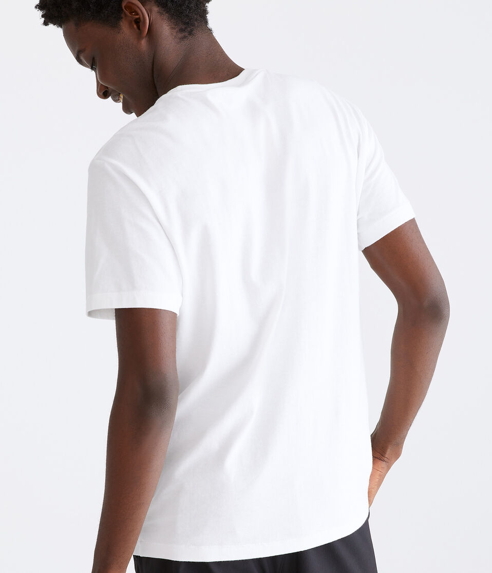 Aéropostale Aero Athletic Crest Appliqué Graphic Tee Bleach