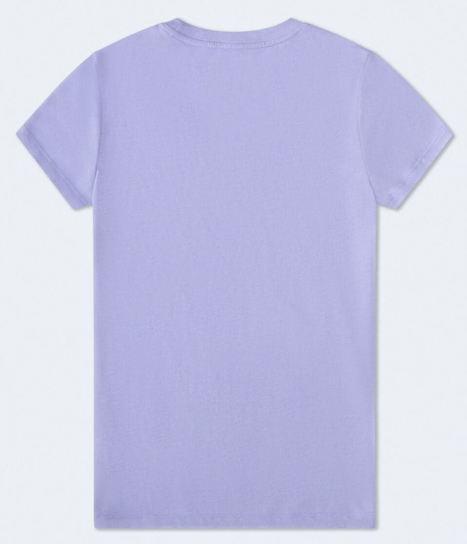 Aéropostale Aero Butterflies Foil Graphic Tee Sweet Lavender