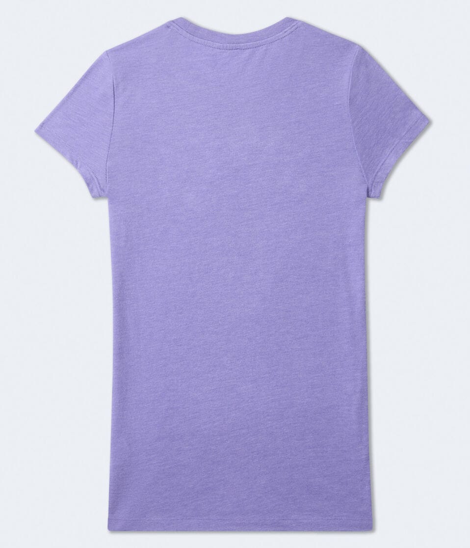 Aéropostale Aero Butterflies Graphic Tee Fairy Purple