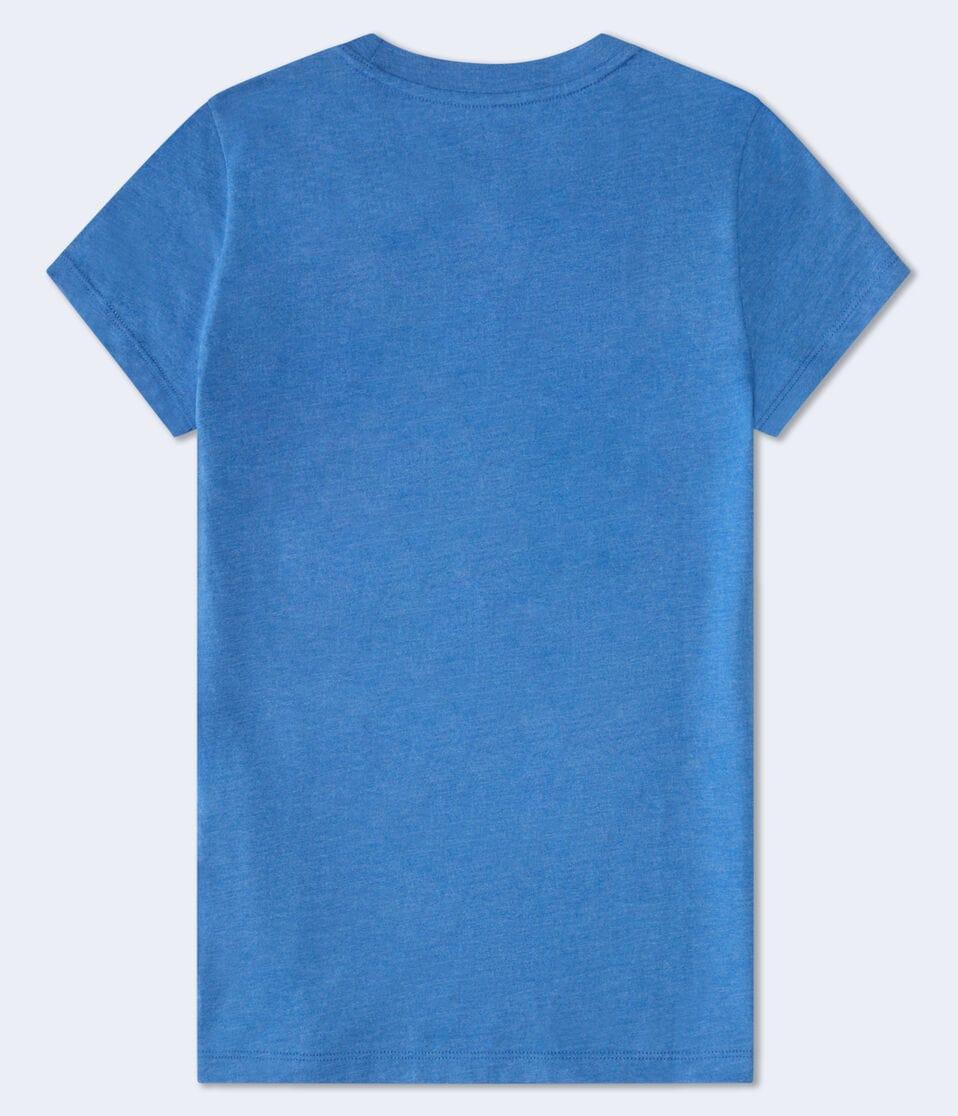 Aéropostale Aero Butterfly Flocked Graphic Tee Lyric Blue