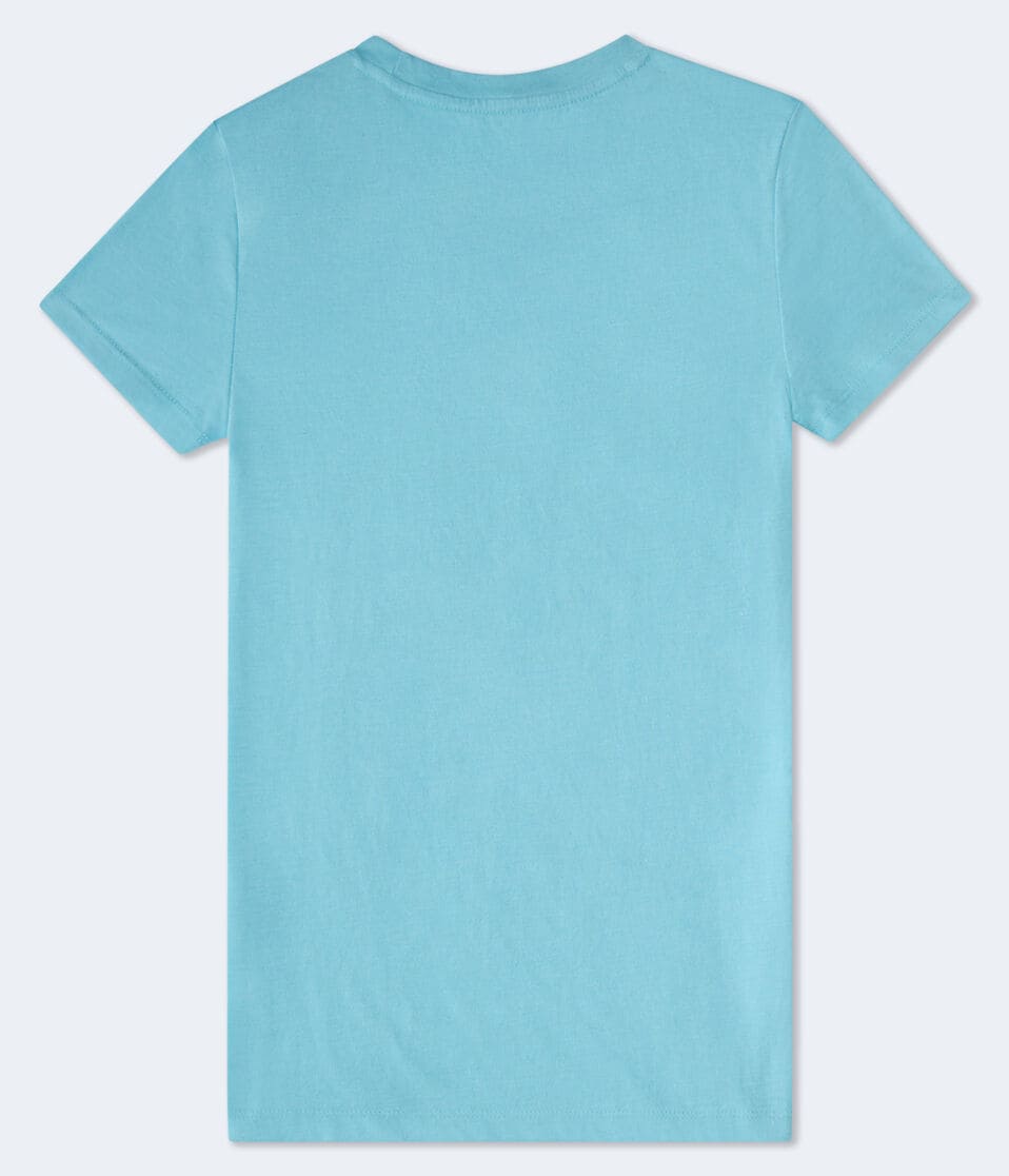 Aéropostale Aero Butterfly Foil Graphic Tee Blue Tint