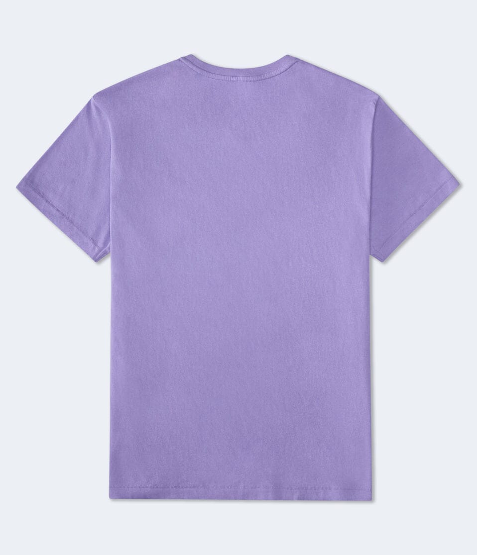 Aéropostale Aero California Appliqué Graphic Tee Washed Raspberry