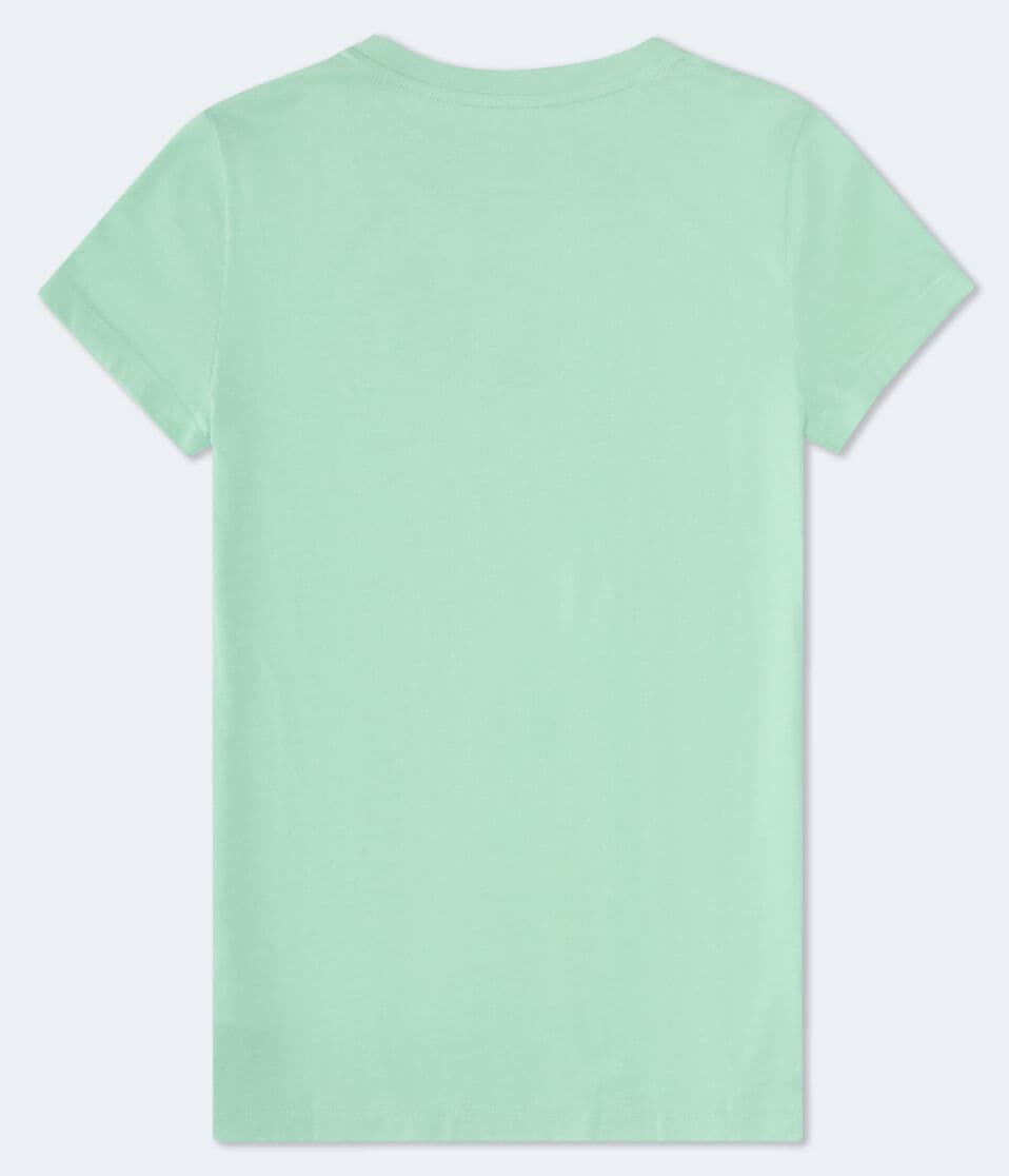 Aéropostale Aero California Butterfly Graphic Tee Light Green