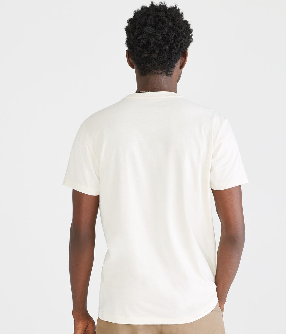 Aéropostale Aero Circle Logo Graphic Tee Turtledove