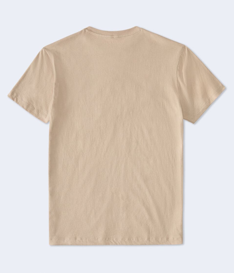 Aéropostale Aero Diamond Logo Appliqué Graphic Tee Warm Taupe