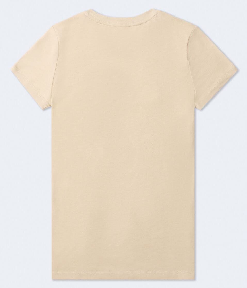 Aéropostale Aero Floral Logo Appliqué Graphic Tee Bungalow