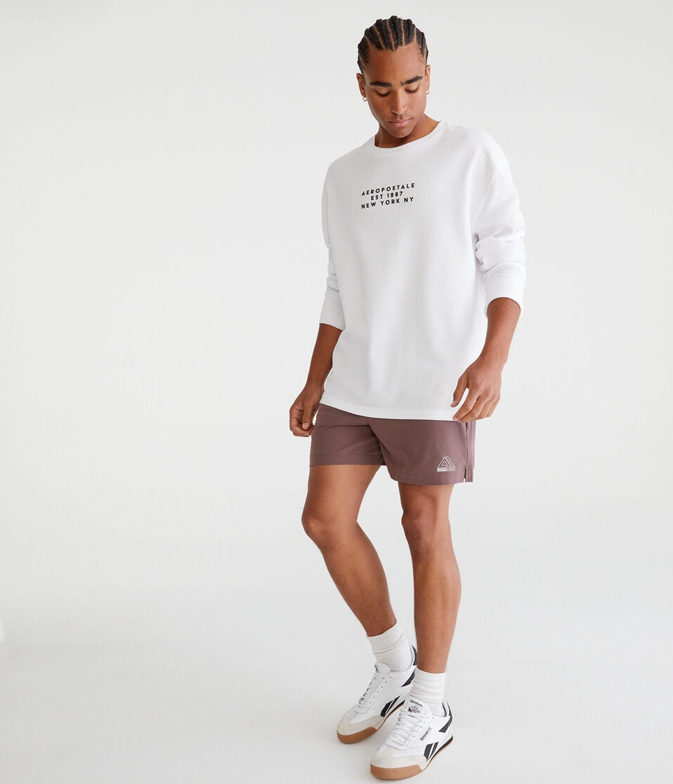 Aéropostale Aero MVMNT Hybrid Active Shorts 5.5" Purple Smoke