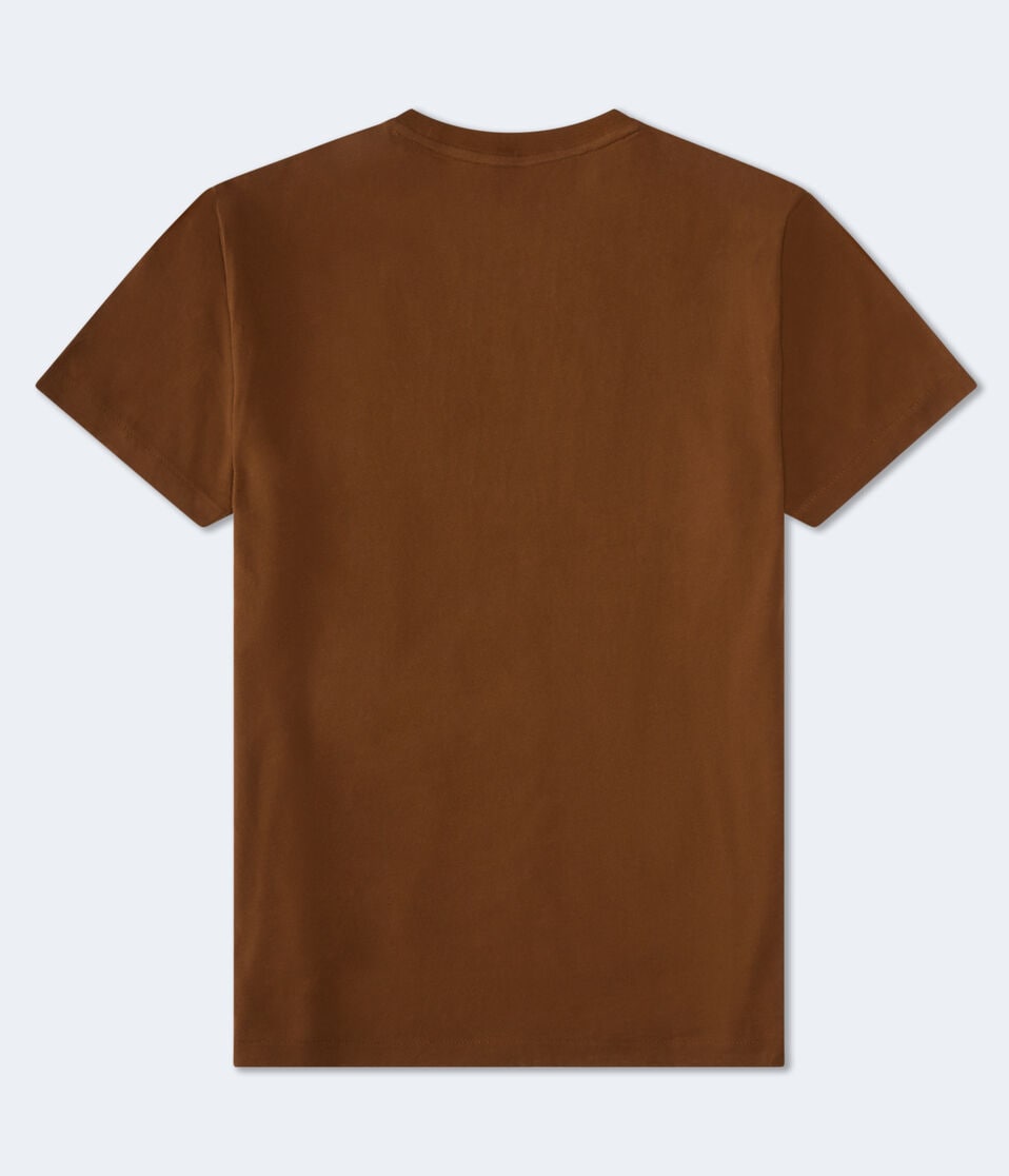 Aéropostale Aero New York Appliqué Graphic Tee Medium Brown