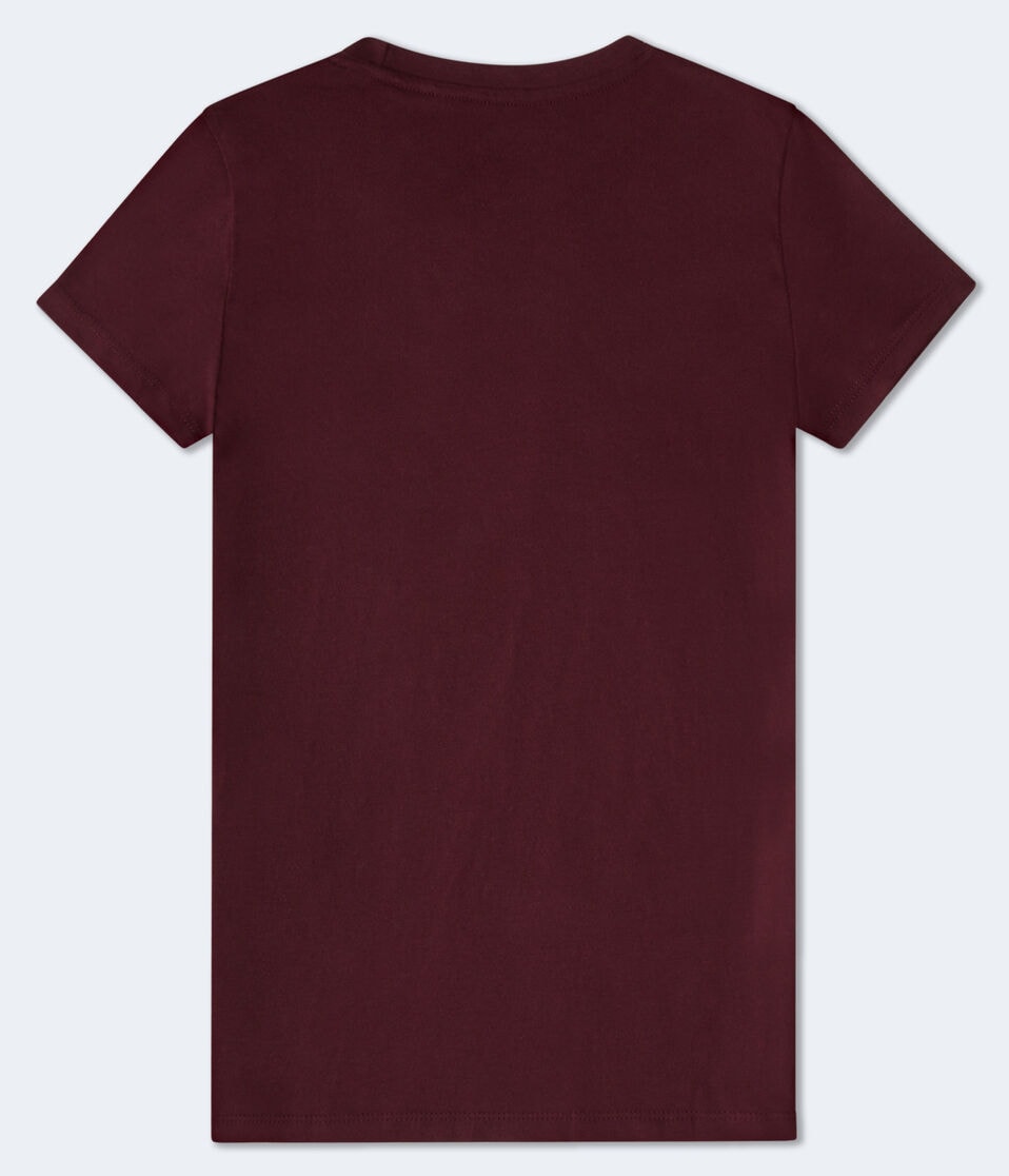 Aéropostale Aero New York Ribbon Flocked Graphic Tee Bloomsberry