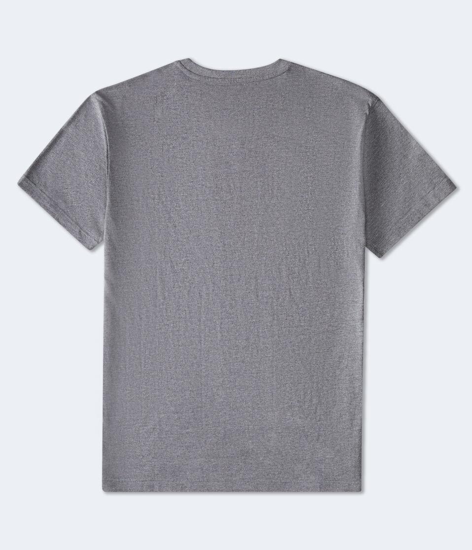 Aéropostale Aero NY 1987 Foil Graphic Tee Med Hthr Grey