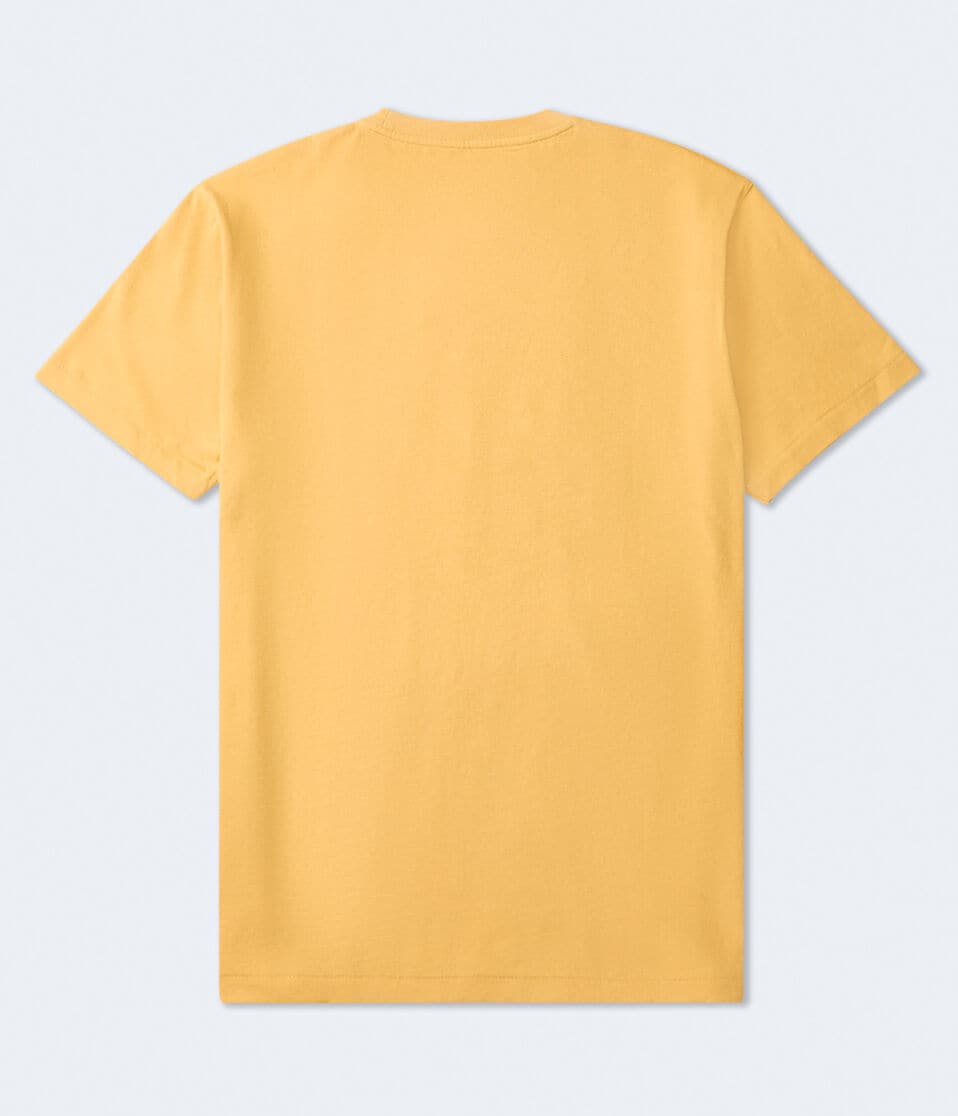 Aéropostale Aero NY Appliqué Graphic Tee Mecca Gold