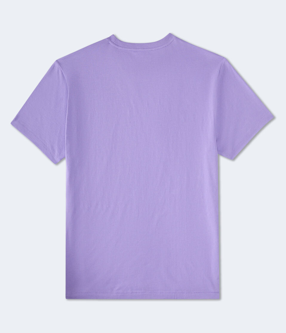 Aéropostale Aero NYC Oval Graphic Tee Washed Raspberry