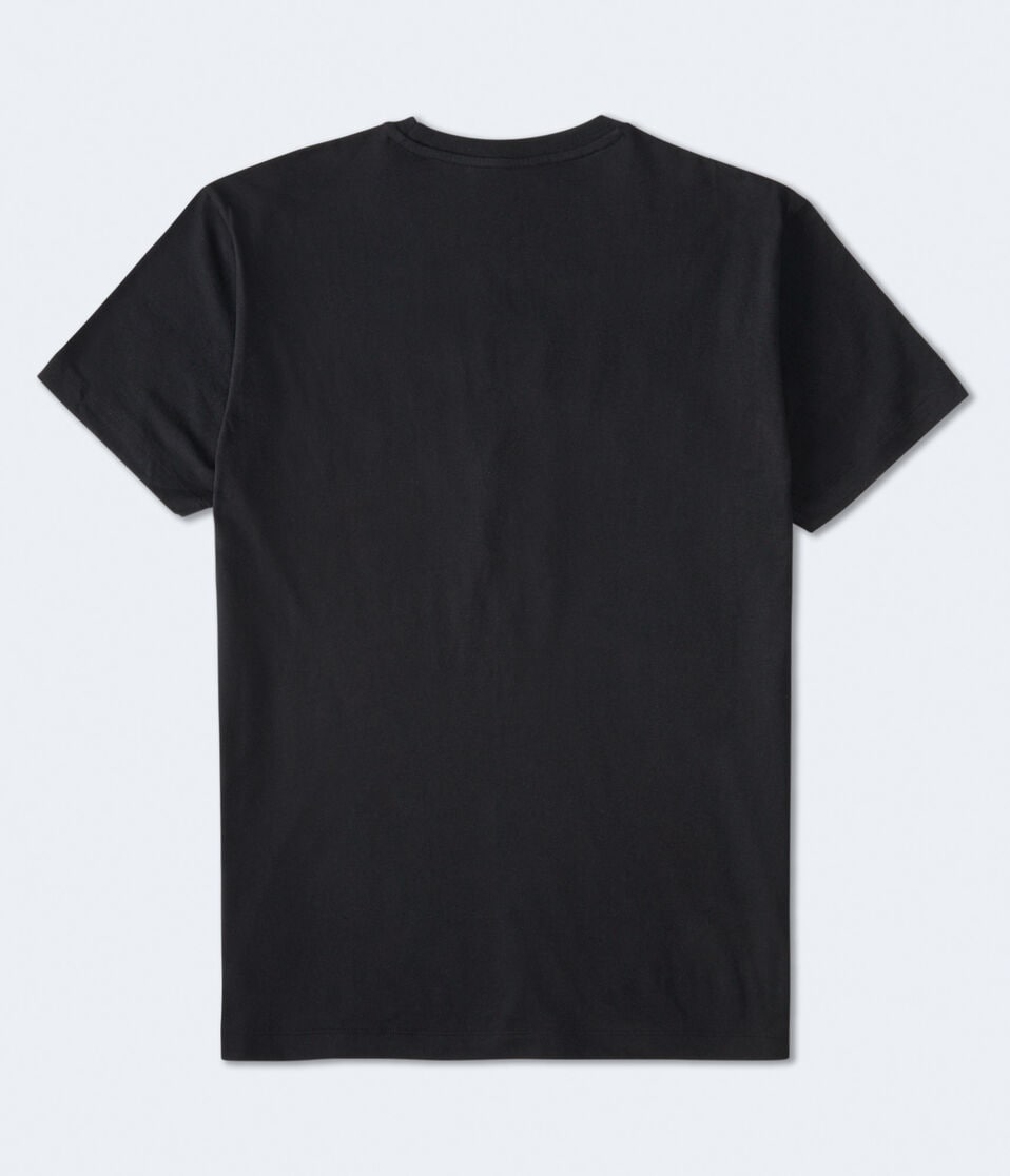 Aéropostale Aero NYC Spray Paint Graphic Tee Black Fox