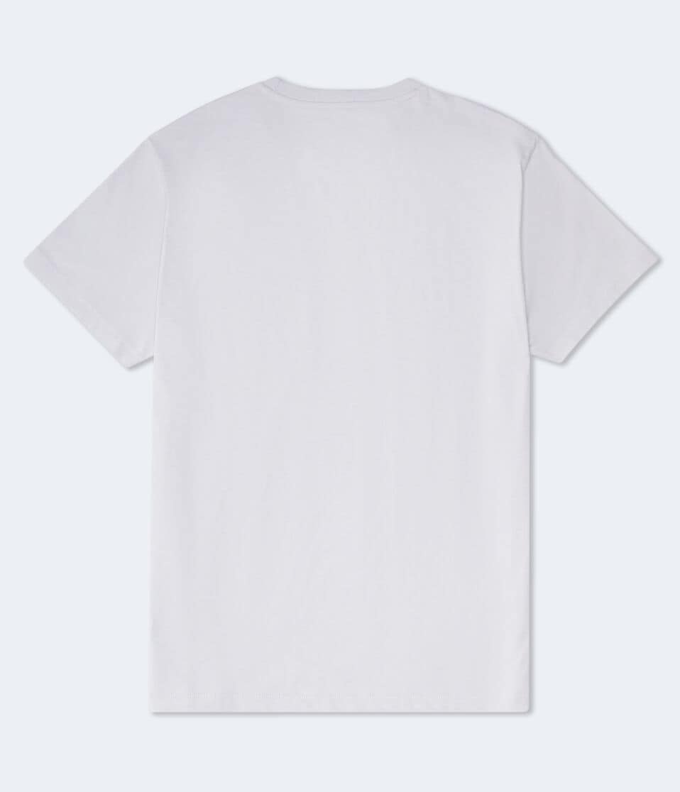 Aéropostale Aero Original Icons Graphic Tee Grey Vine