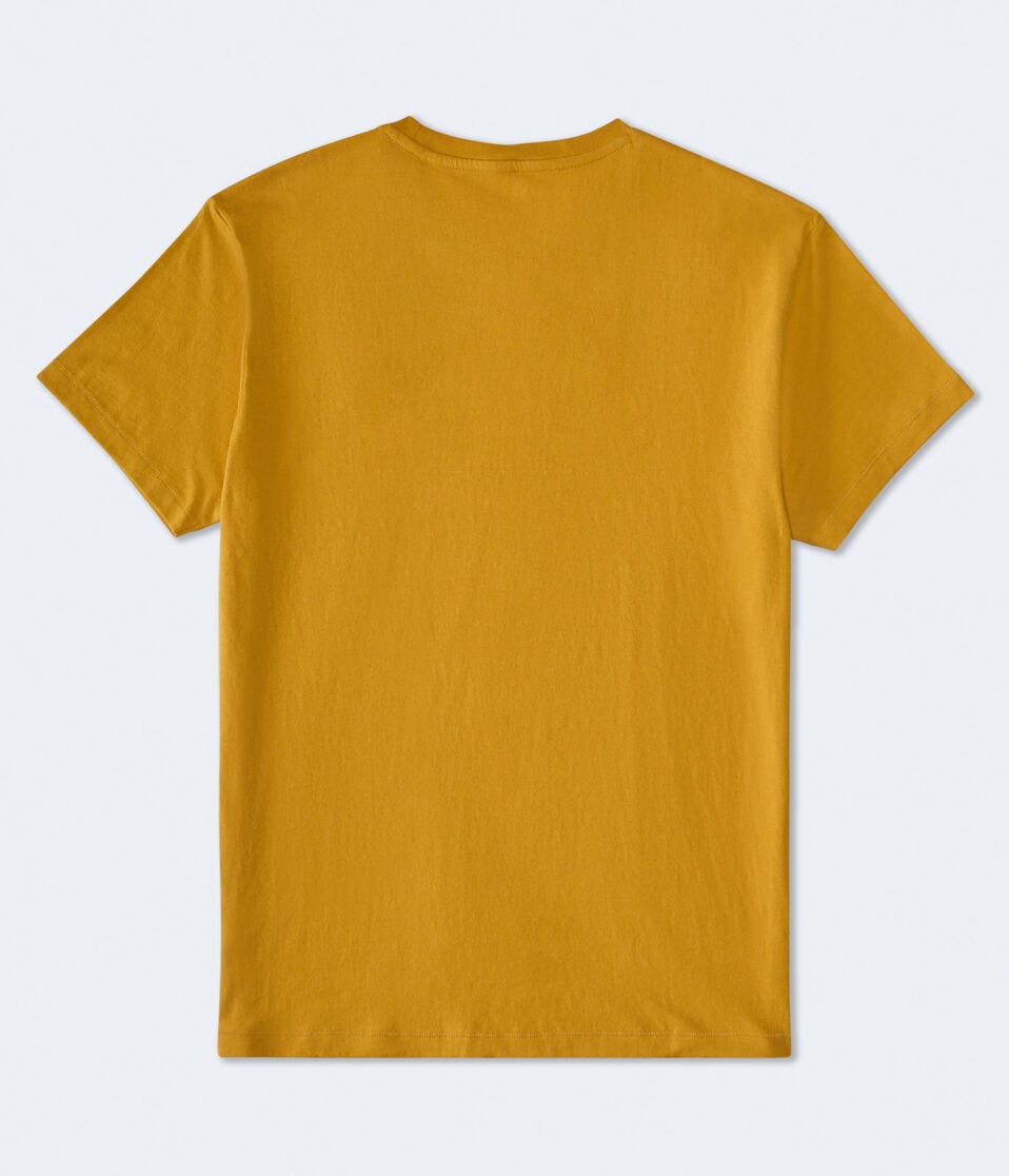 Aéropostale Aero Original Logo Graphic Tee Golden Glow