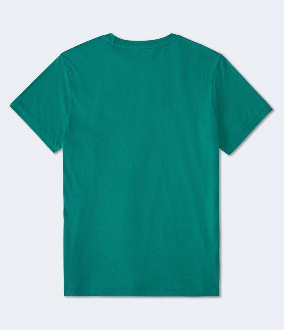 Aéropostale Aero Queens NY Appliqué Graphic Tee Dusty Jade