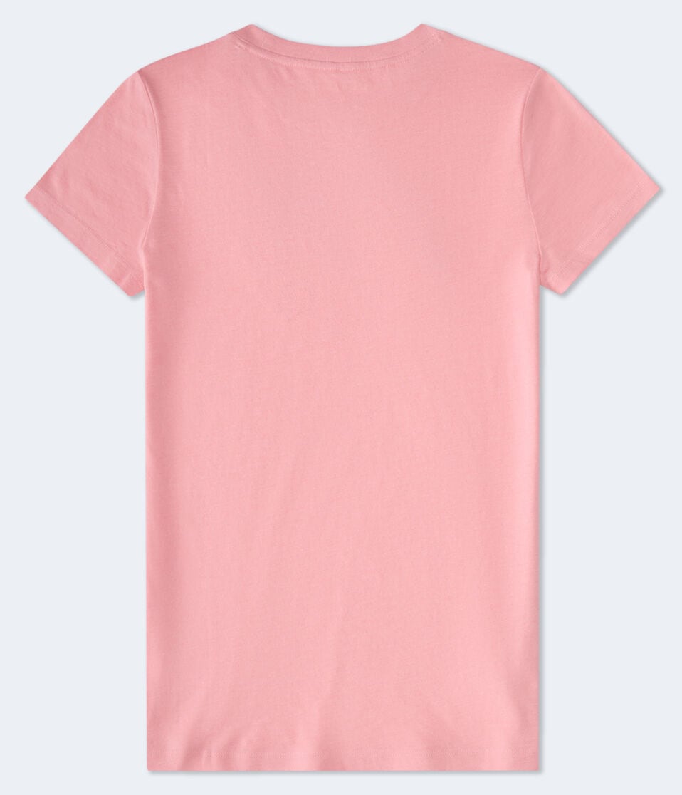 Aéropostale Aero Rose Appliqué Graphic Tee Cali Rose